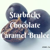 Starbucks Milk Chocolate Caramel Brulee Bites - Review