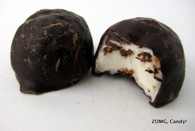 Trader Joe's Dark Chocolate Covered Marshmallow