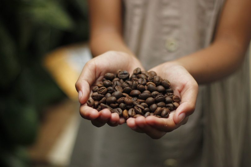 types of coffee beans
