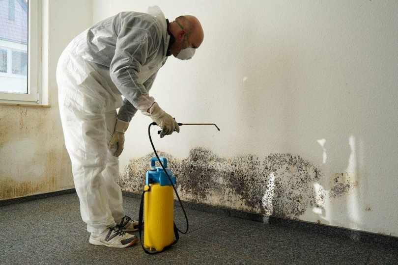 consider mold inspection before purchasing a house