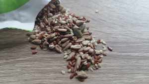 Benefit of Flaxseed 