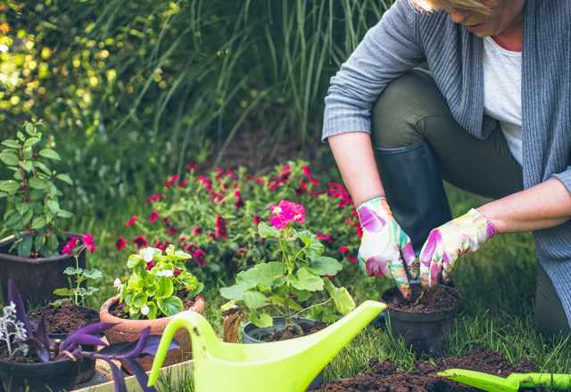 Five tips to gardening better