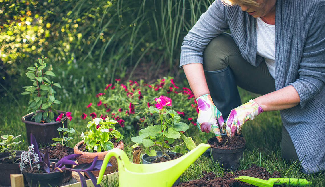 Five tips to gardening better