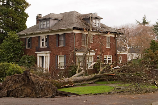 Remove Trees too Close to Your Home