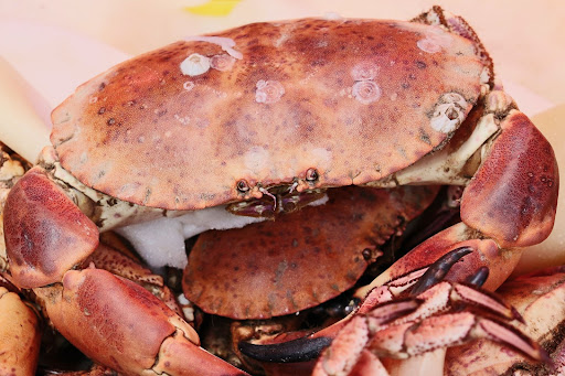 Health Benefits Of Eating King Crab