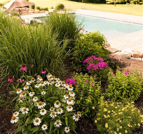 The 4 Benefits of Landscape with Native Plants