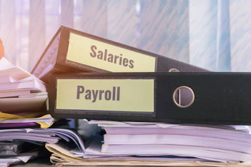 What is Payroll Management Software?