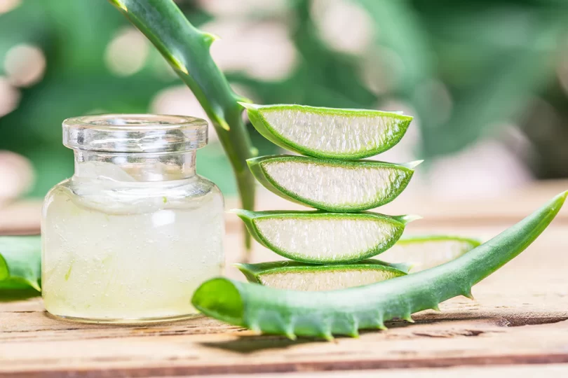 What is Aloe Vera?| Benefits & Precautions of Aloe Vera