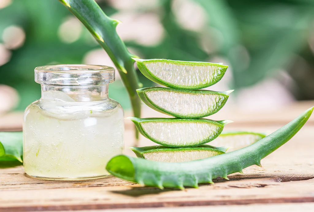 What is Aloe Vera?| Benefits & Precautions of Aloe Vera