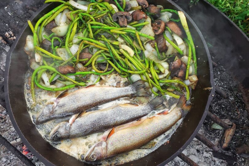 Top 7 Best Pans for Cooking Fish, Features, Pros and Cons