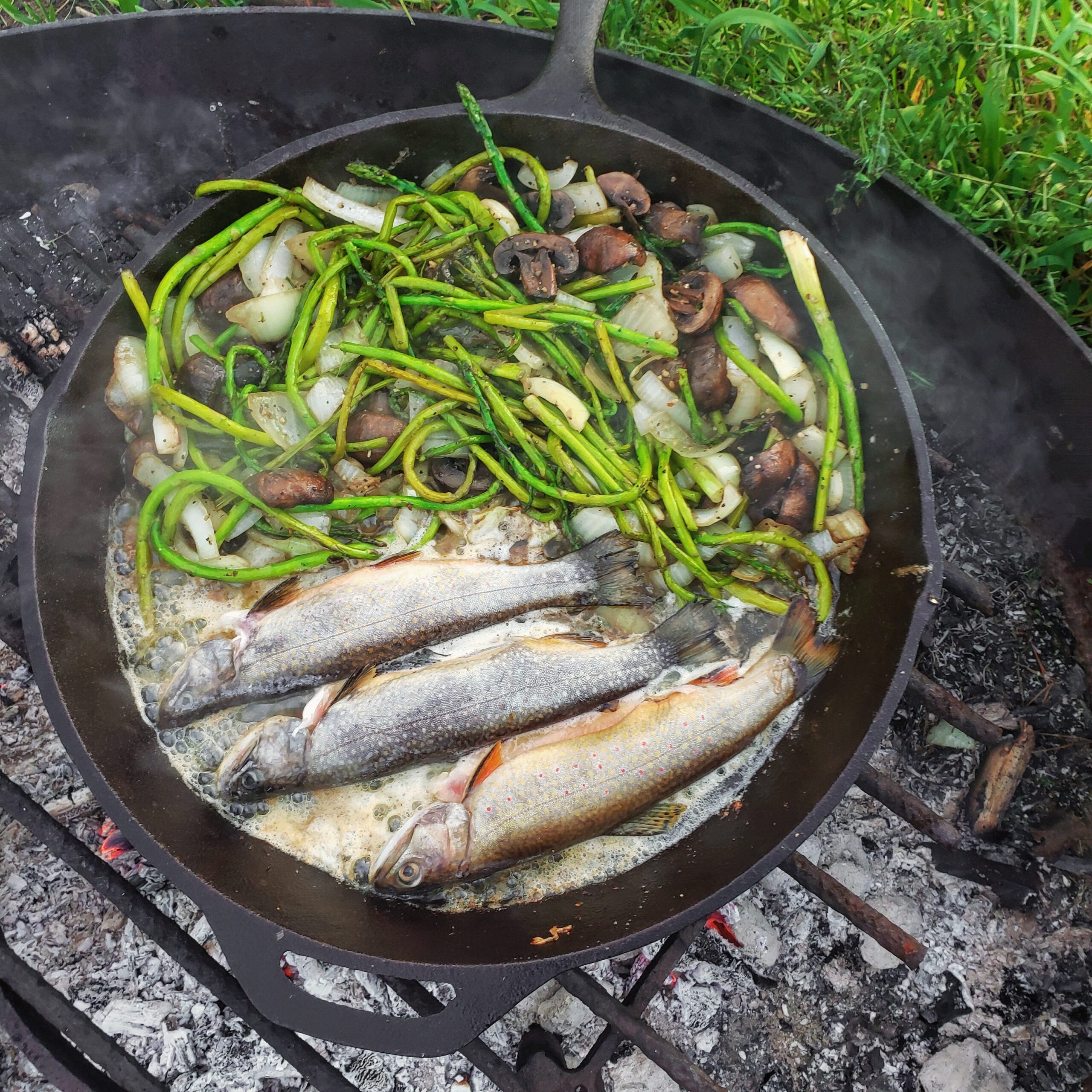 Top 7 Best Pans for Cooking Fish, Features, Pros and Cons