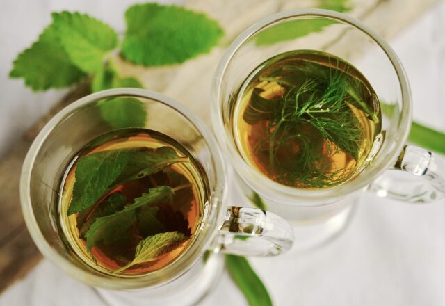 Pine Needle Tea Dangers, Benefits, Do’s and Don’ts