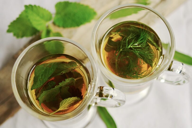 Pine Needle Tea Dangers, Benefits, Do’s and Don’ts
