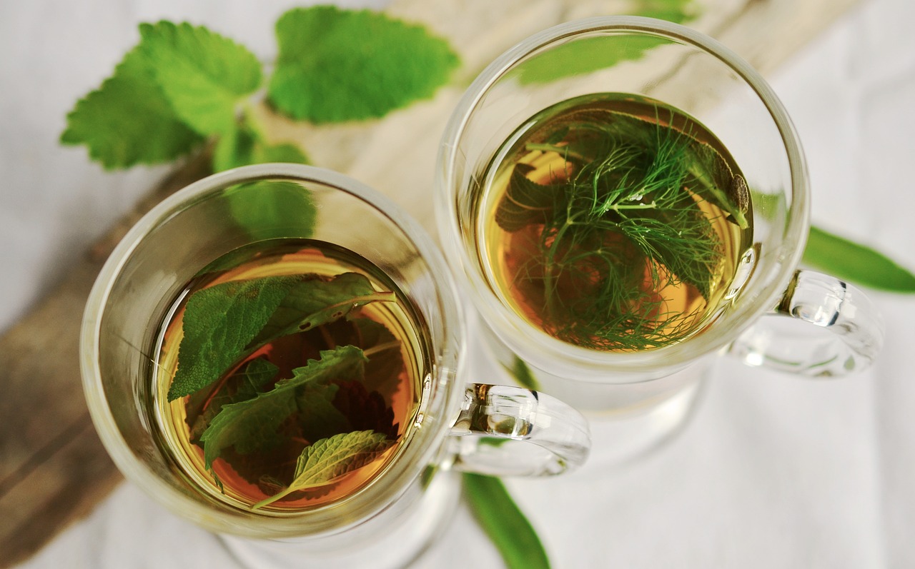 Pine Needle Tea Dangers, Benefits, Doâ€™s and Donâ€™ts