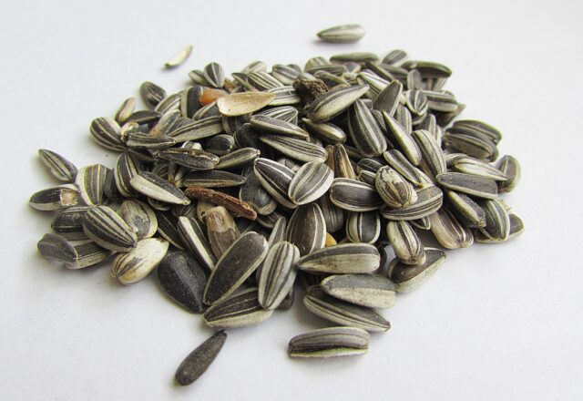 sunflower seed flavors