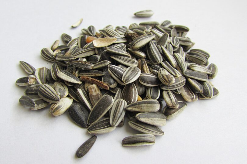 sunflower seed flavors
