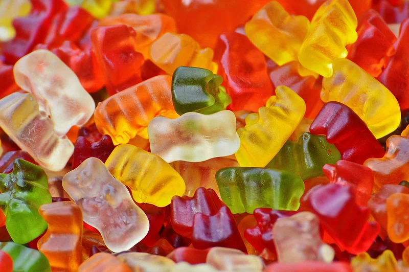 Cinnamon bear